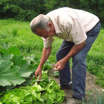 Familie besuchen - Frankreich