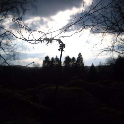 Familie besuchen-Frankreich 2