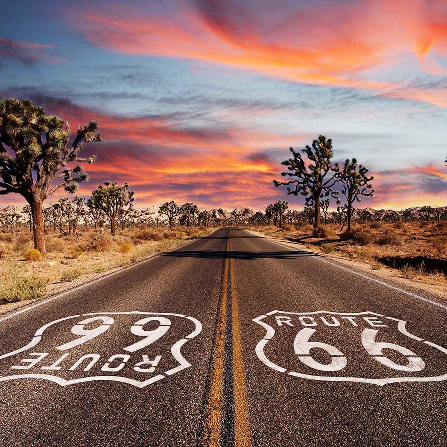 Roadtrip USA 2024