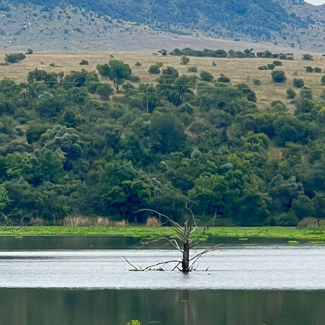 20220317 Südafrika
