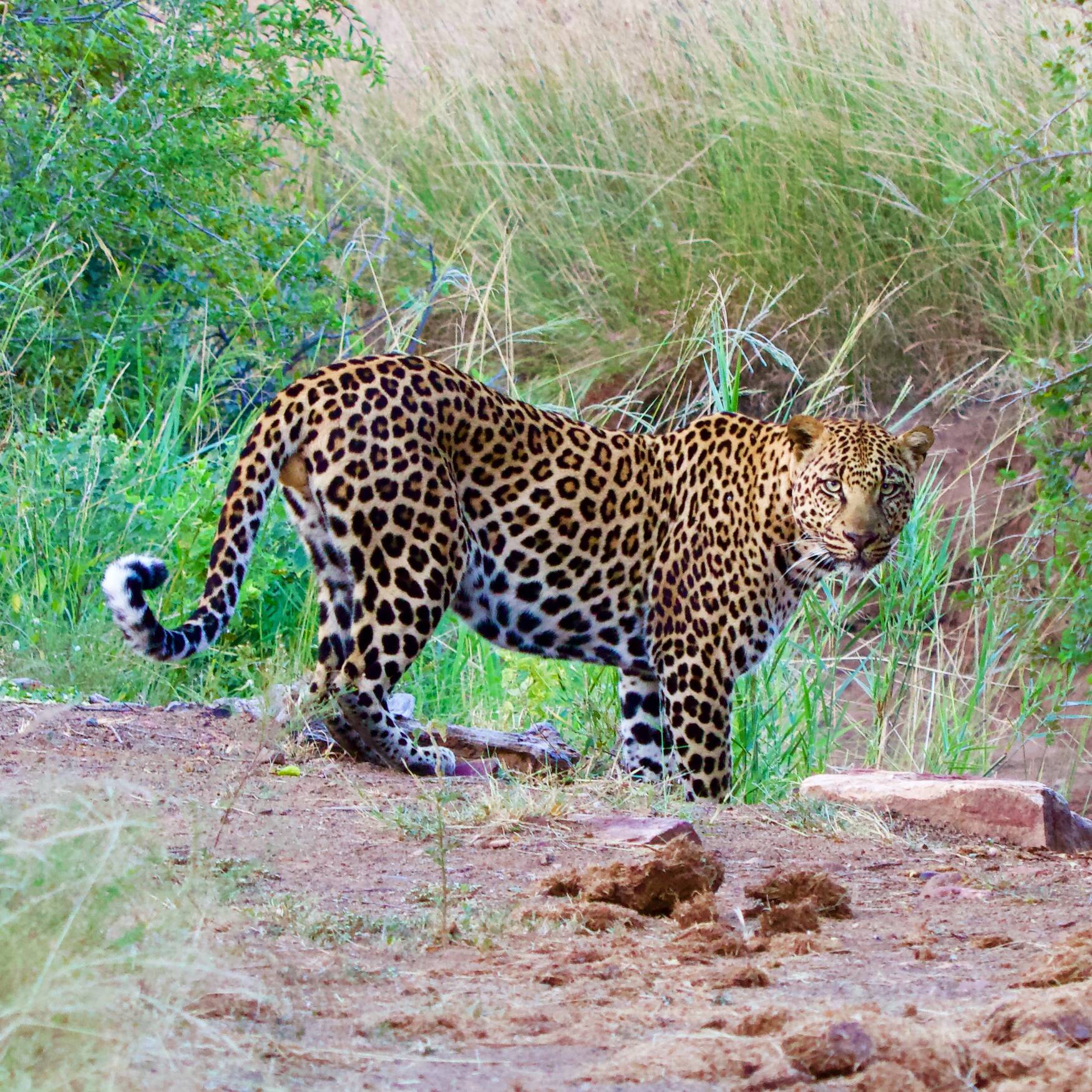 20230304 Mapungubwe u Marakele