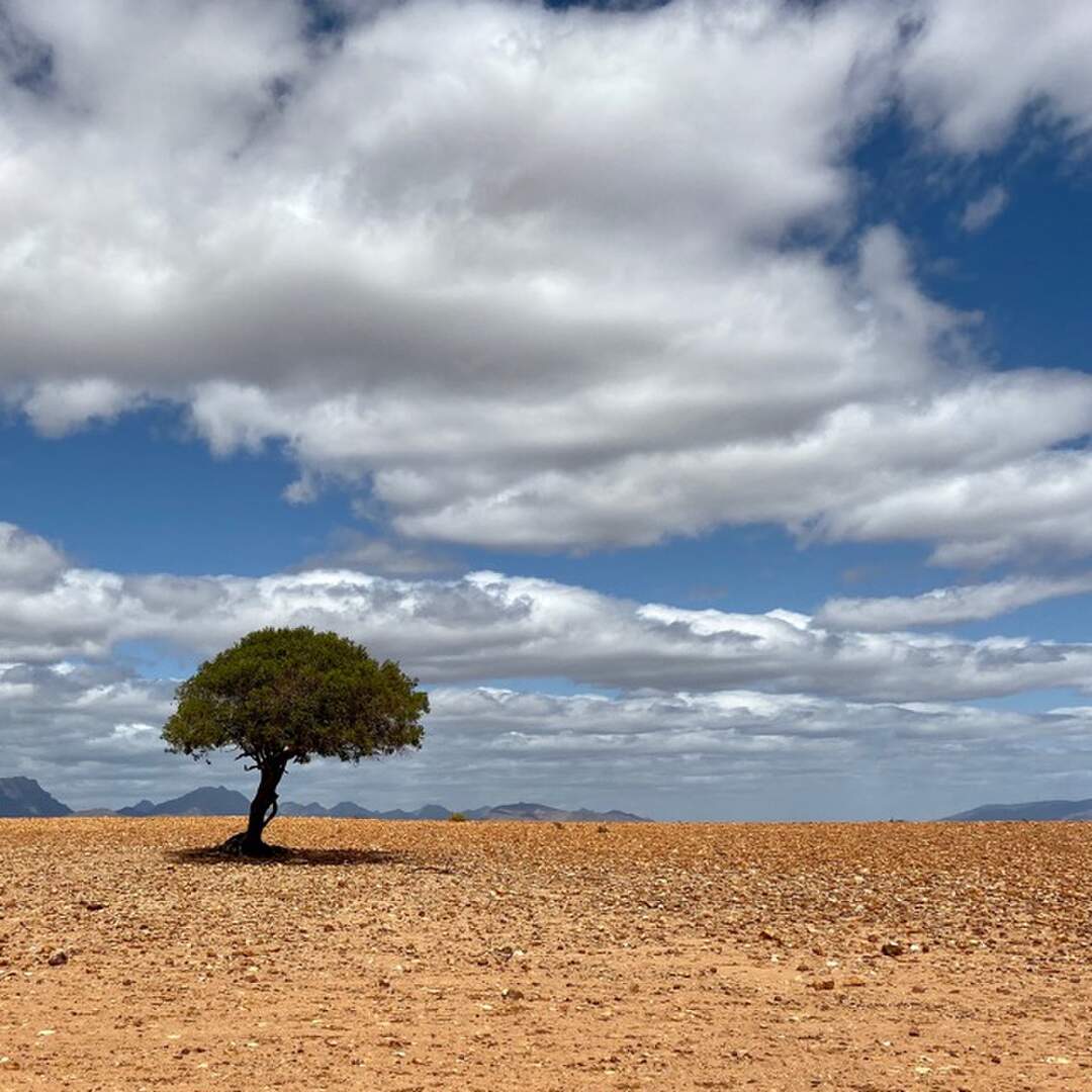 20191026 Südafrika