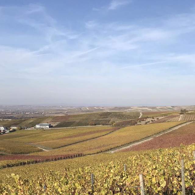 Weinproben
