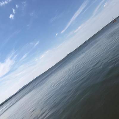 SteinhuderMeer