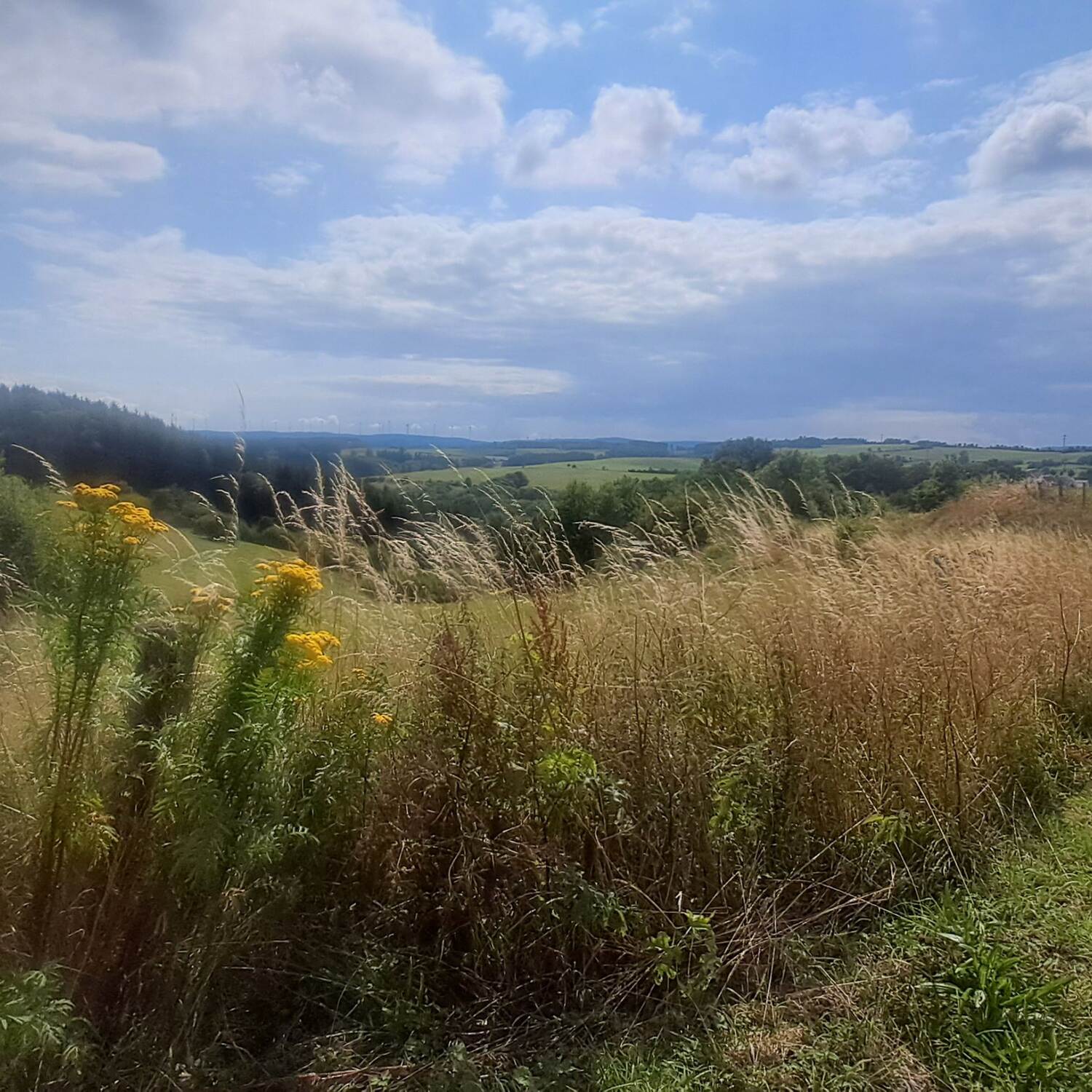 Wandern ist des Müllers Lust