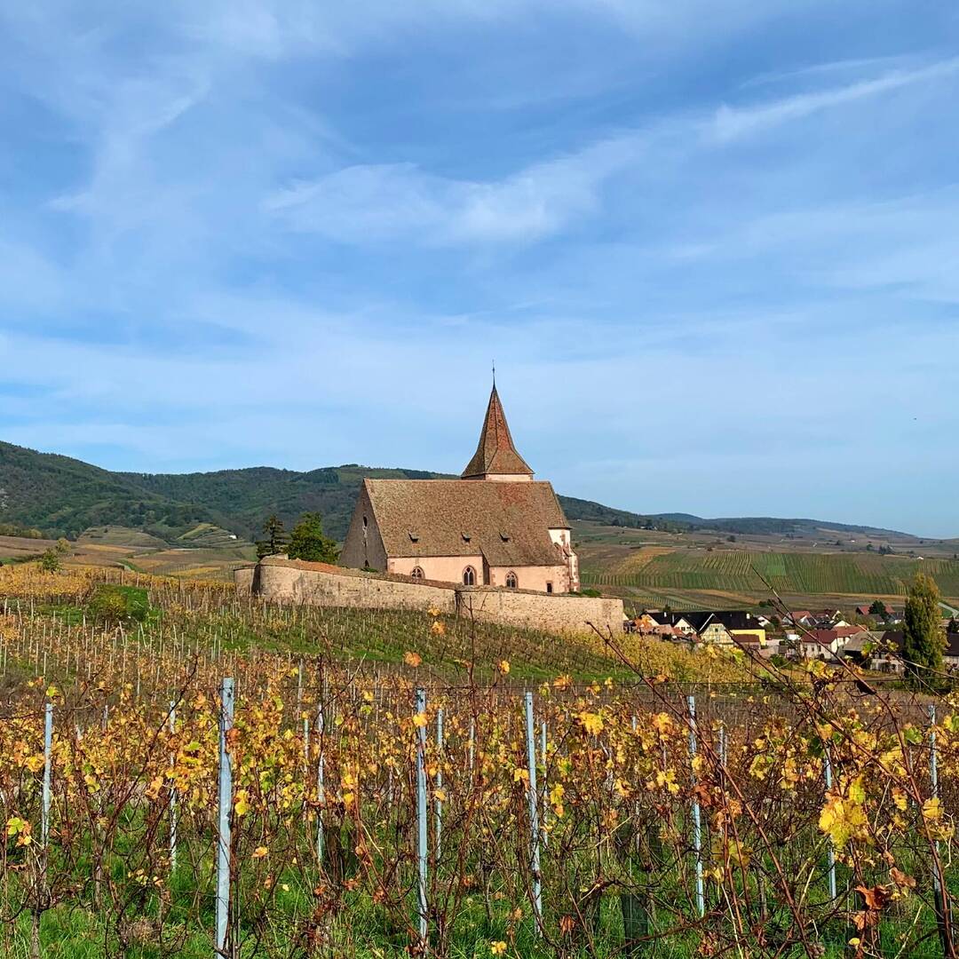Alsace 2022