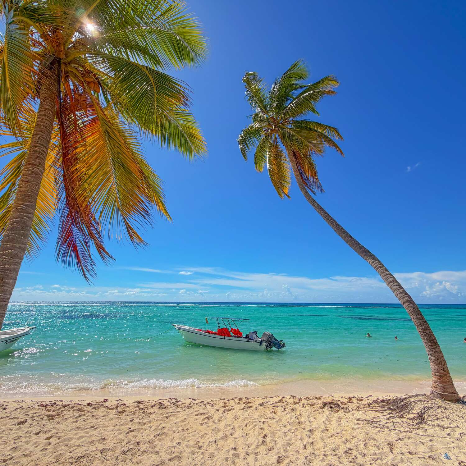 Punta Cana 2026