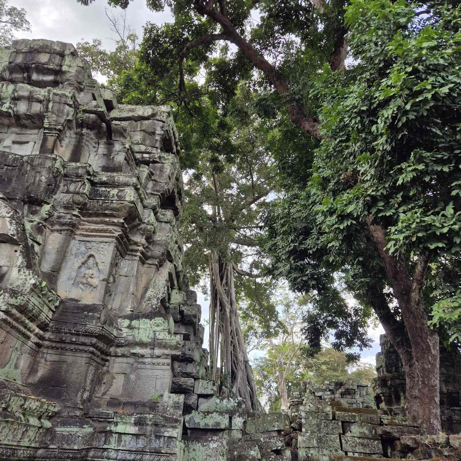 Cambodge 2024