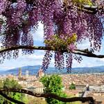 Mae Ecci around the world