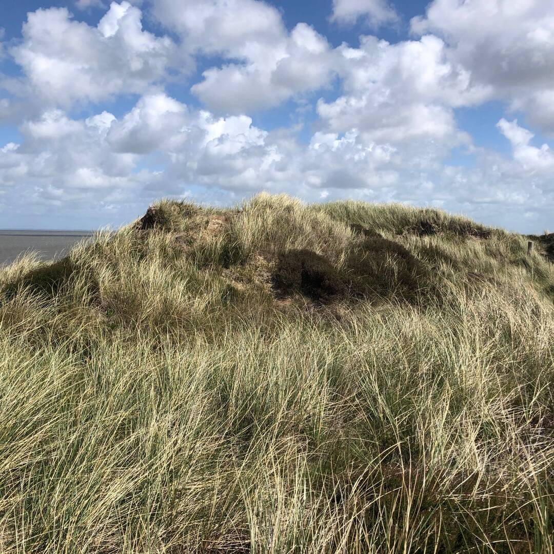 Sylt 2022