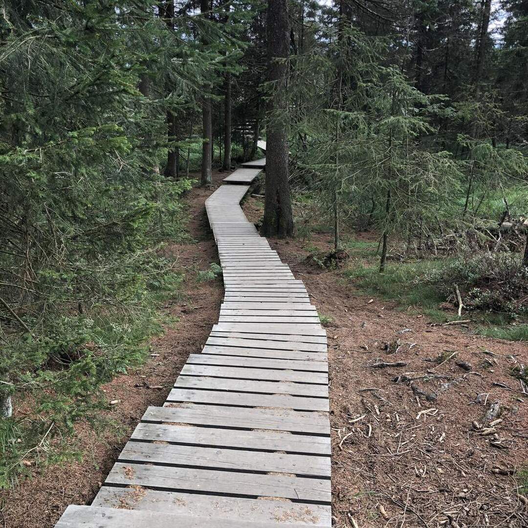 Aktiv im Osten