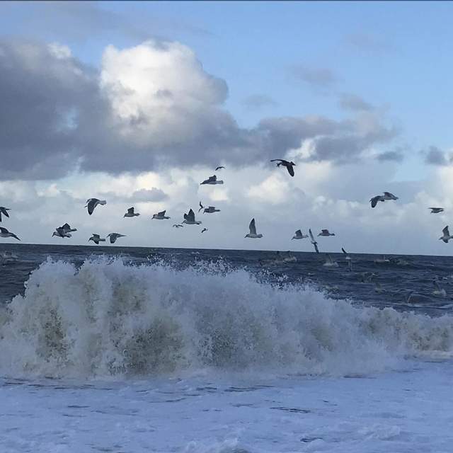 Sylt