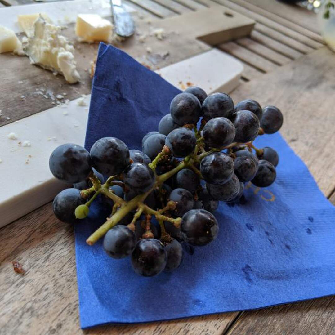 Napa