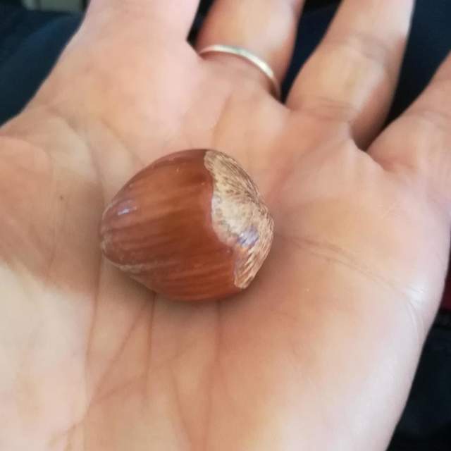 La mia settimana in Tunisia