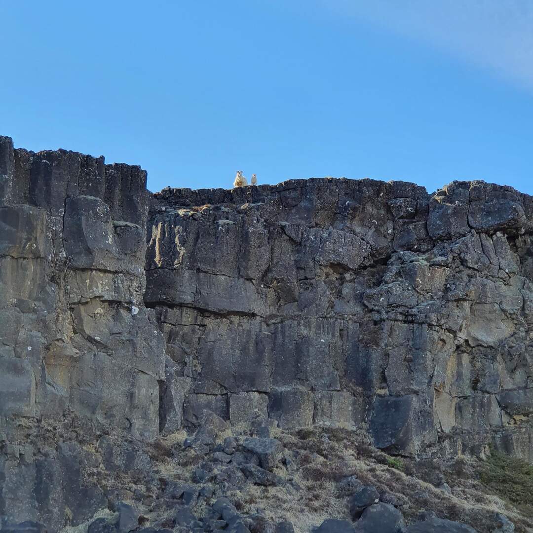 Iceland 2021