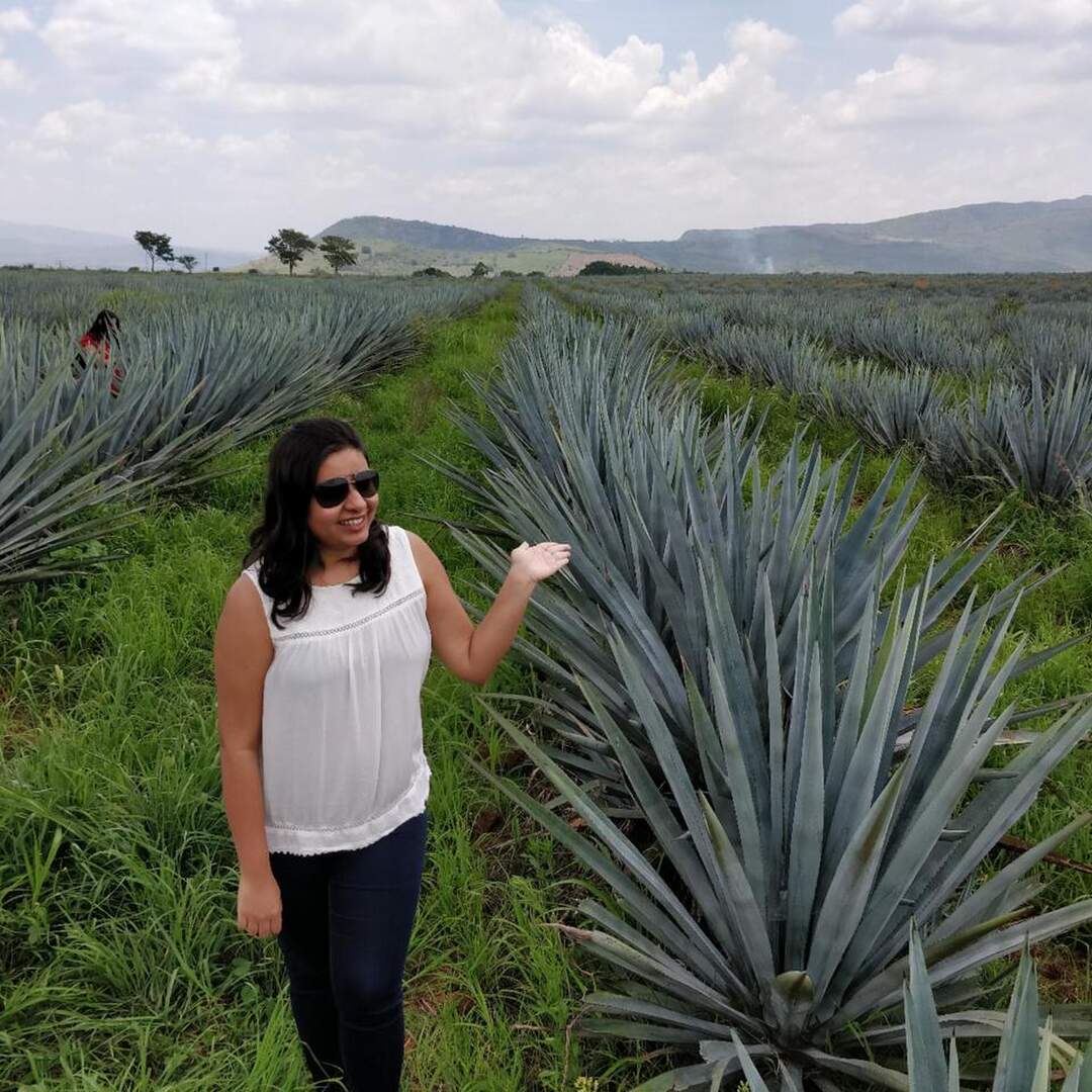 Tequila, Jal., Mexico