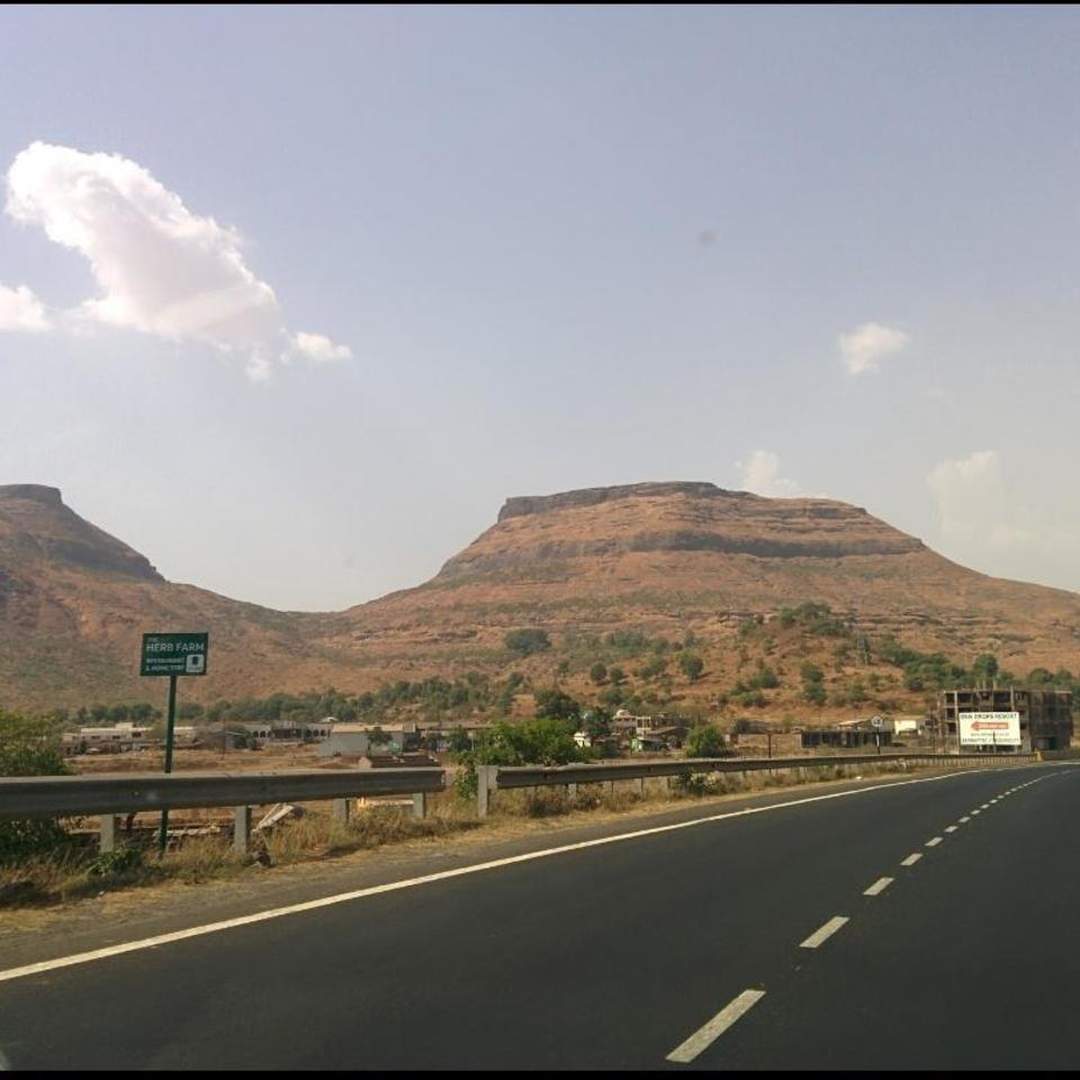 Sula Vineyard,Nasik, India