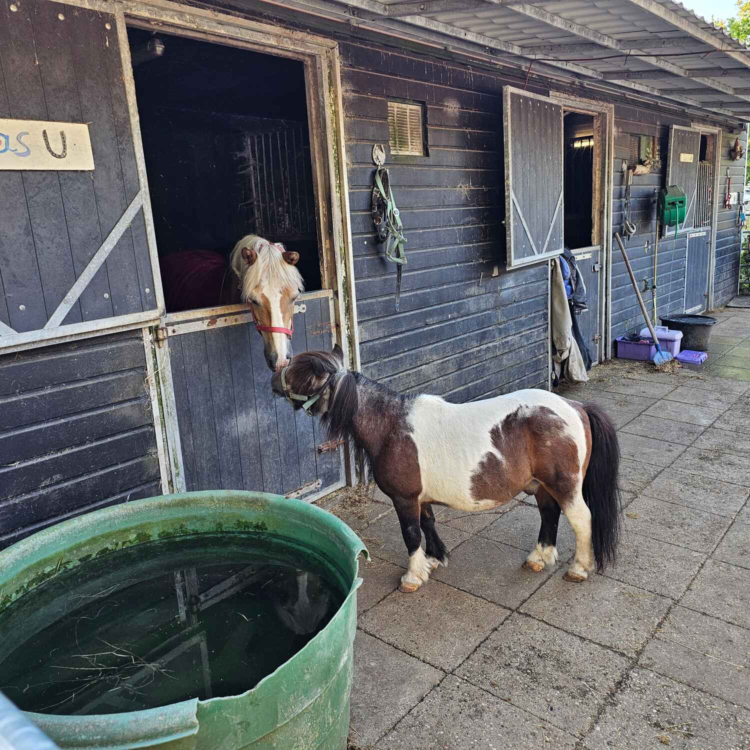 Haflingerhof Heksenketel Veere