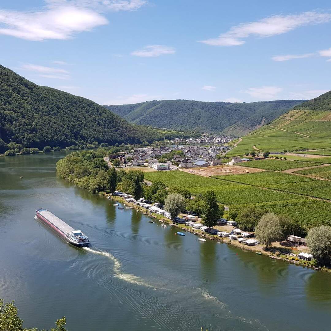 Mosel