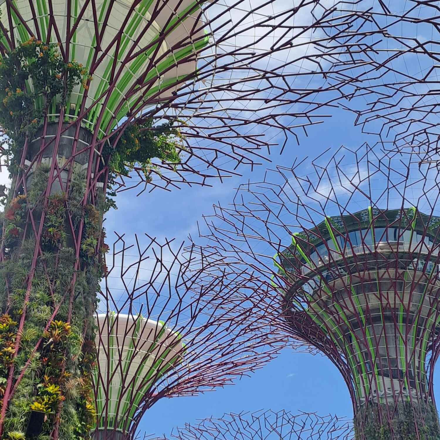Singapur, Bangkok. Vietnam