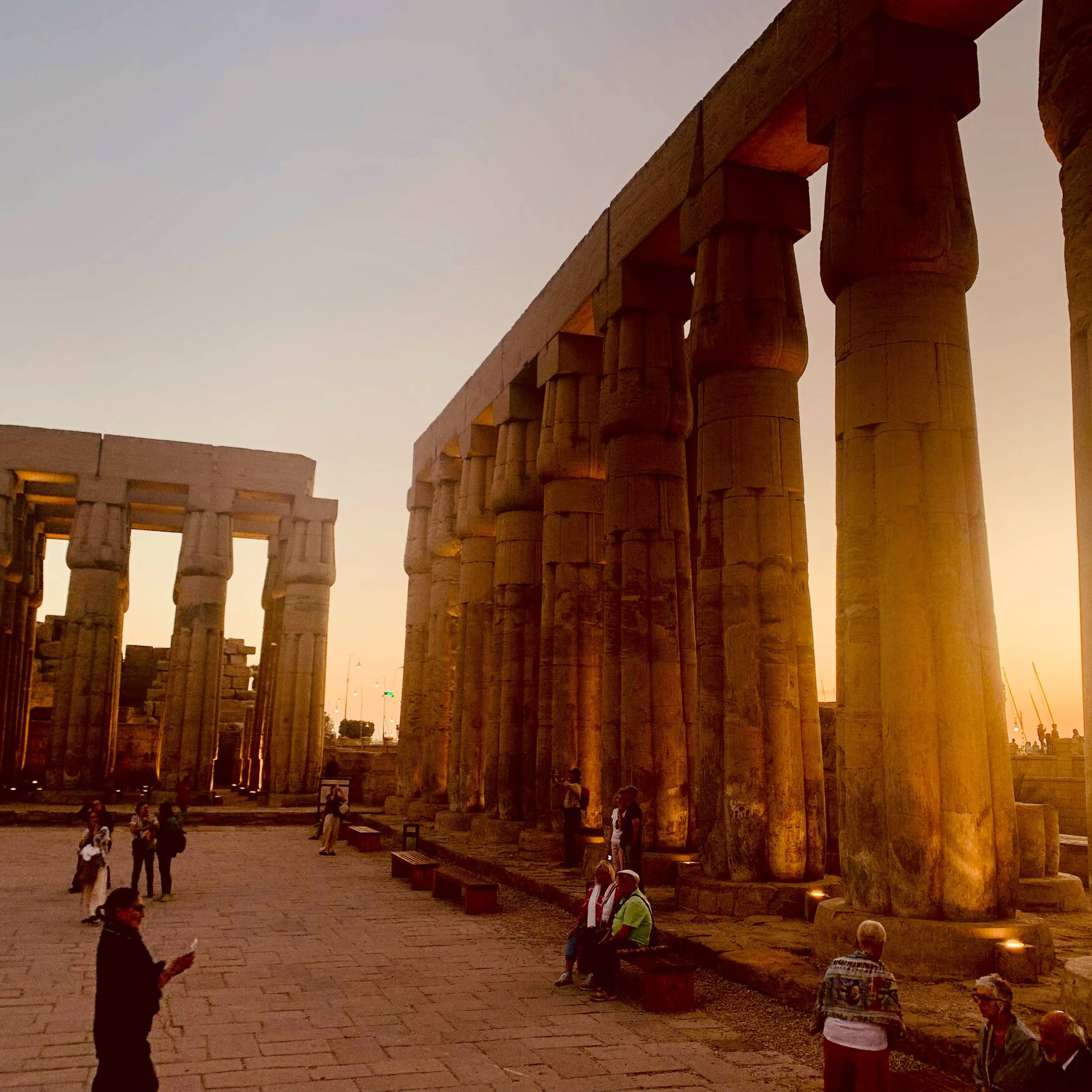 Egitto con la Sala delle Assi