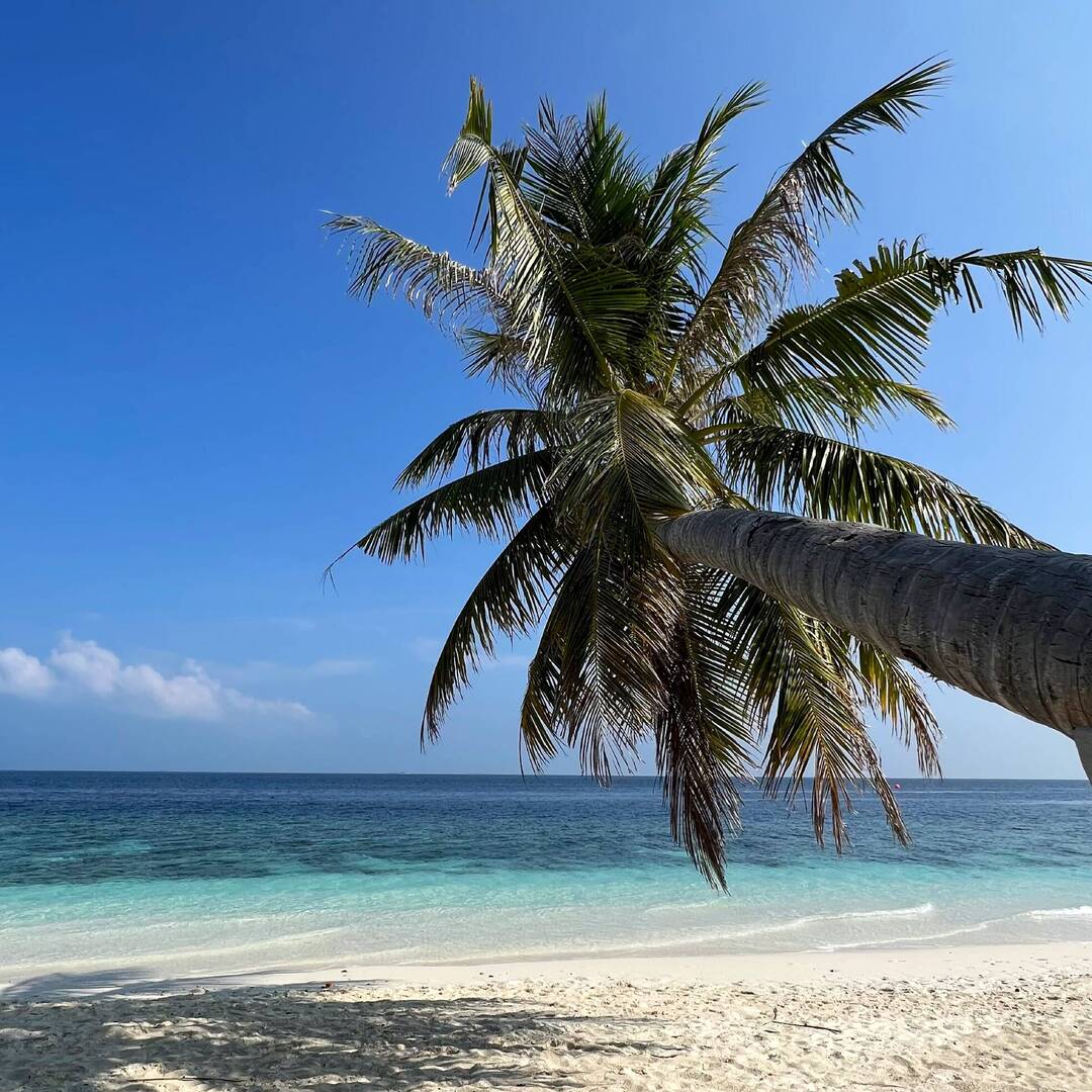 Chapter 2 - Maldives 2022