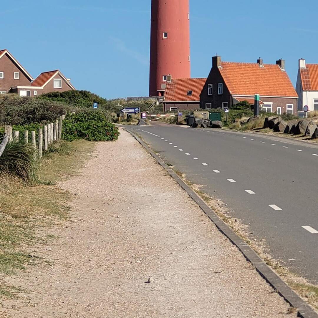 De Robbenjager Texel 2022