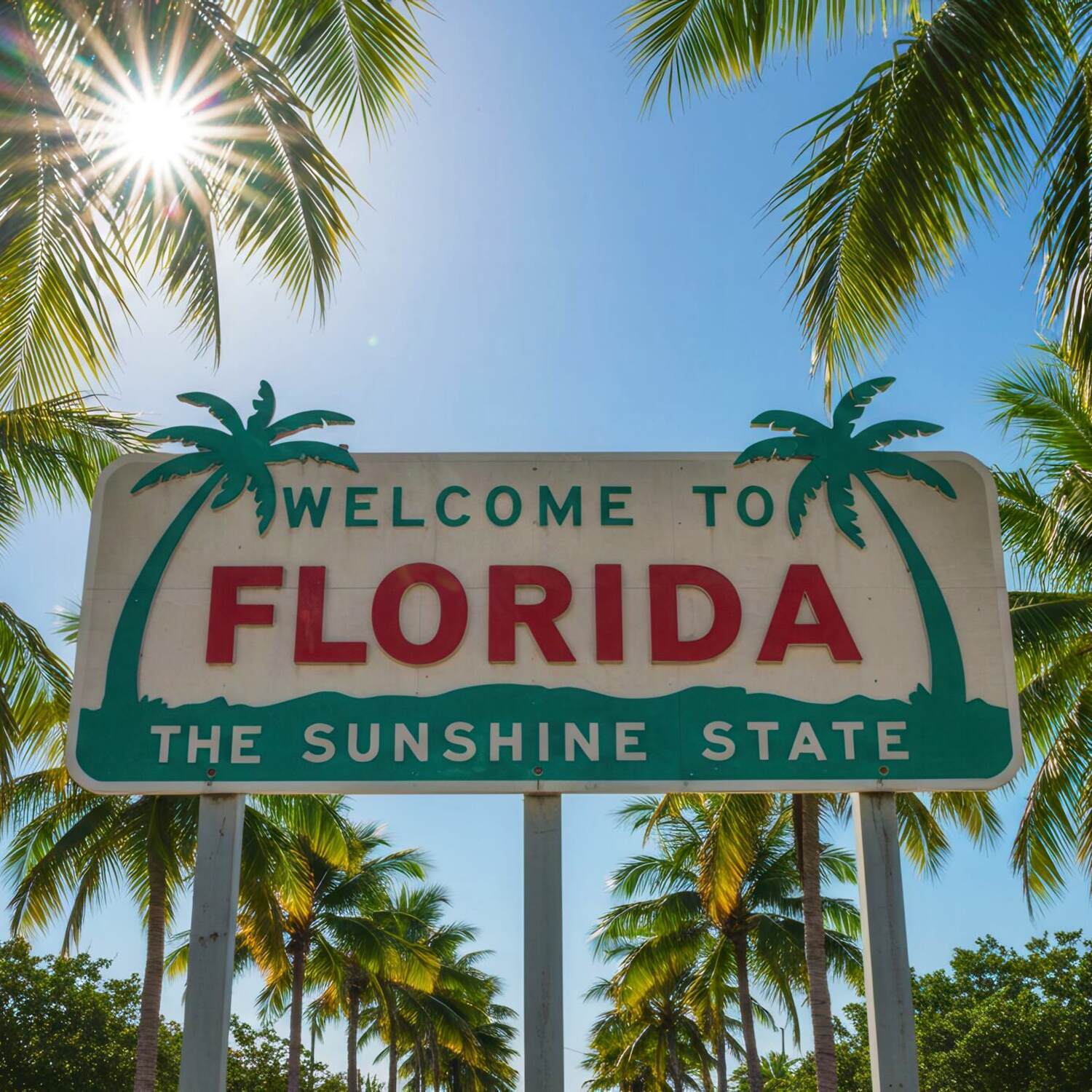 Deutschland 🇩🇪& Florida 🇺🇸