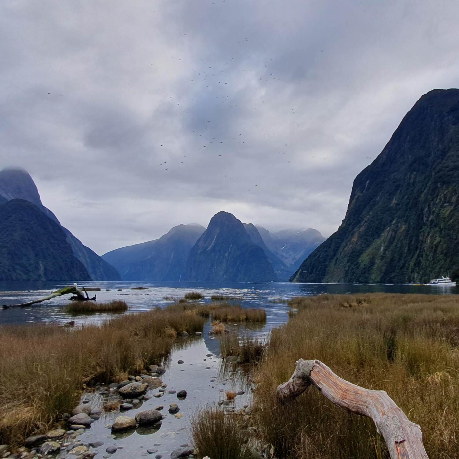 New Zealand