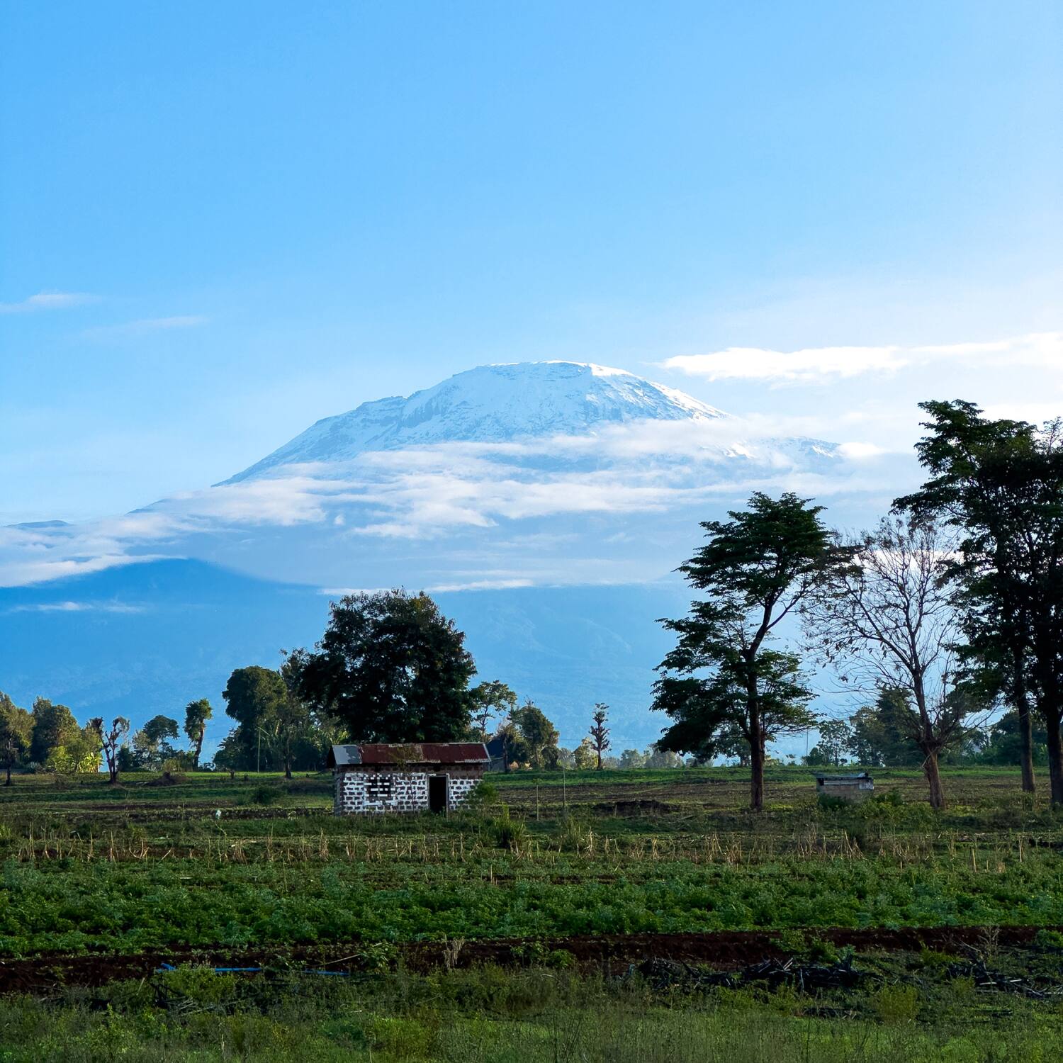 Tanzania 2026