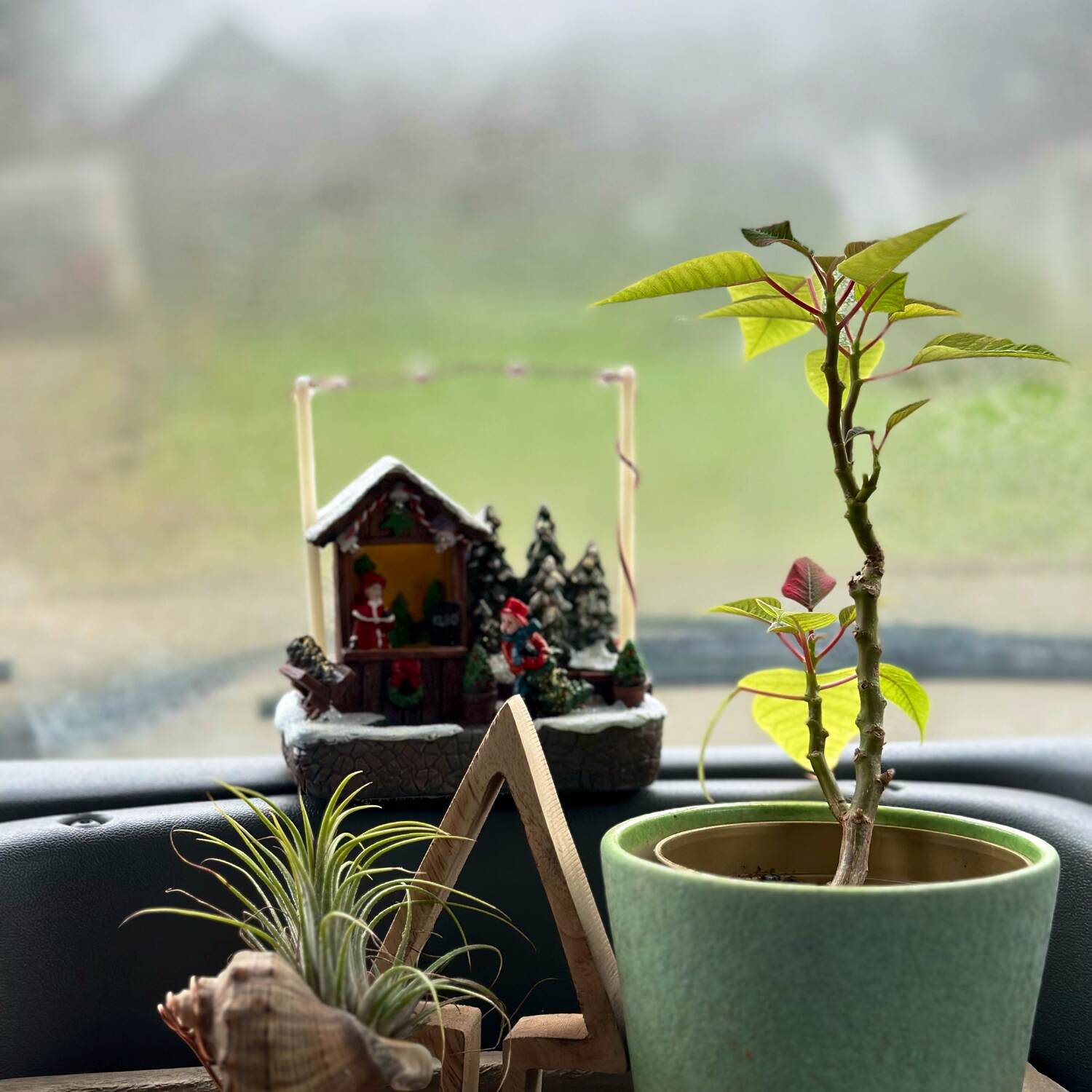 Winter 23/24