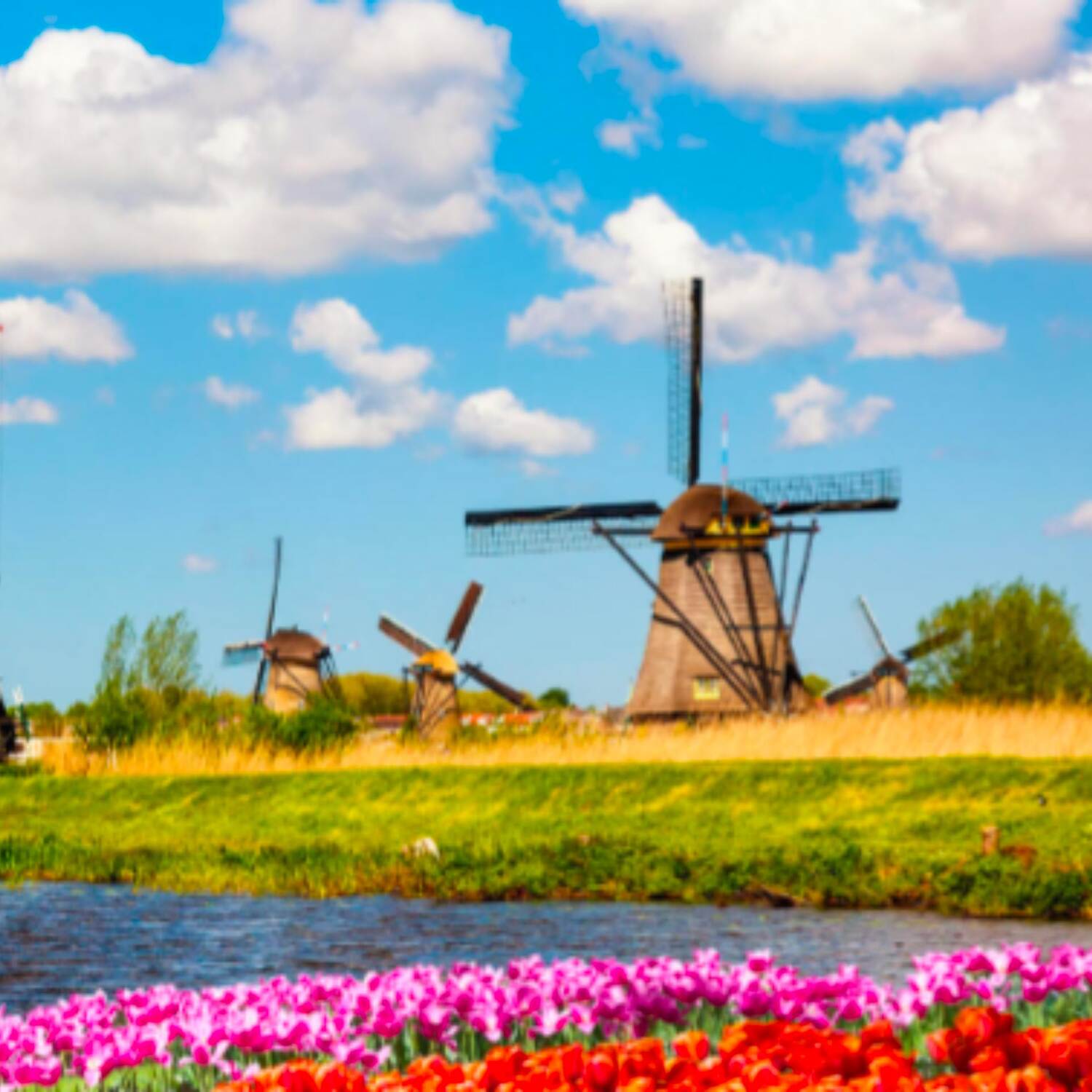 Roadtrip Niederlande / Belgien