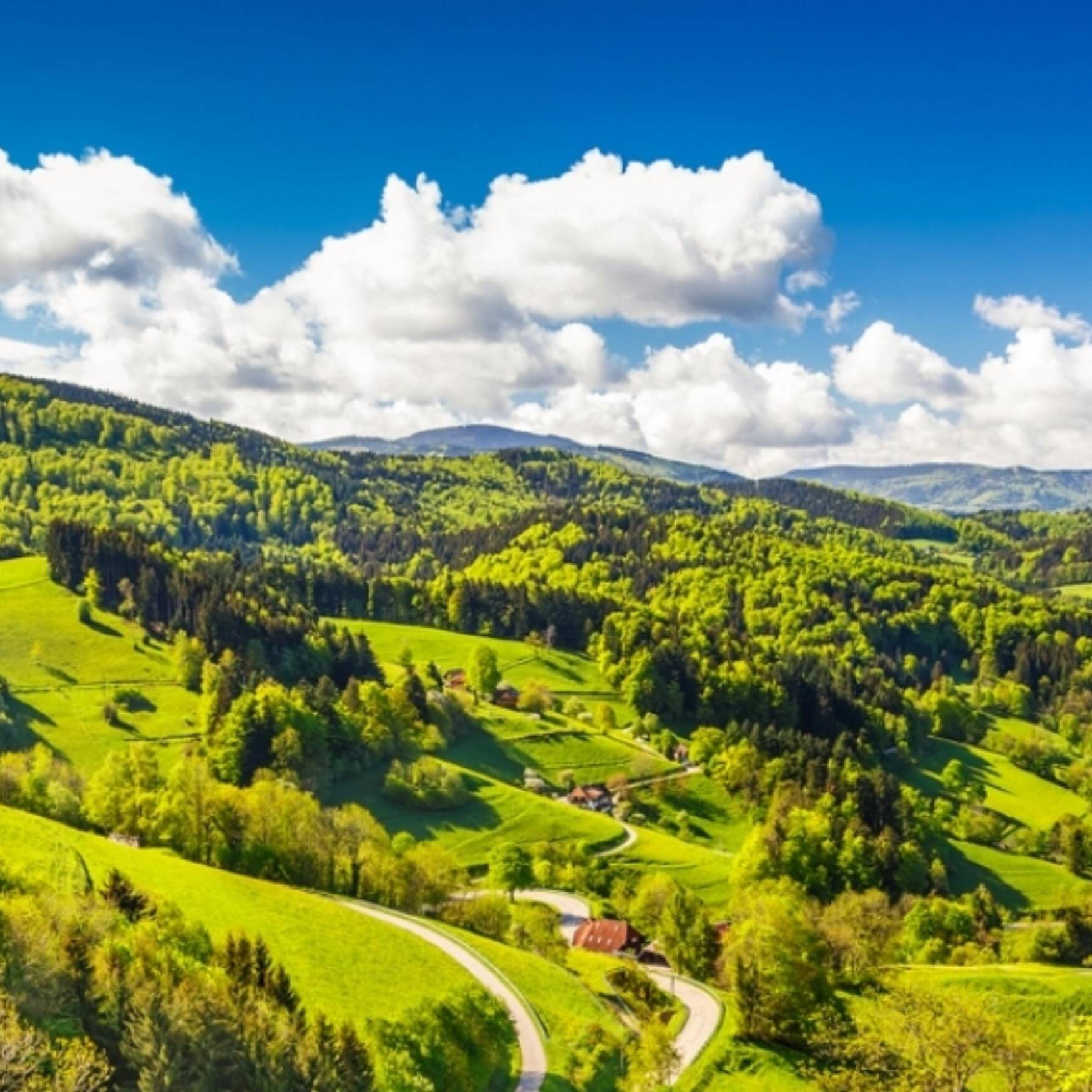 Roadtrip Schwarzwald
