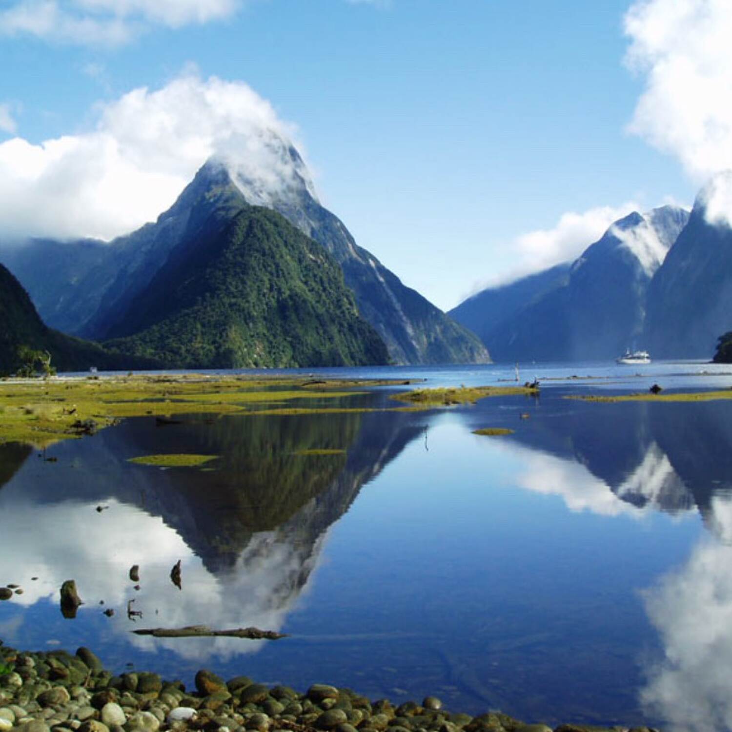 Neuseeland 🇳🇿 🥝🍇🪵