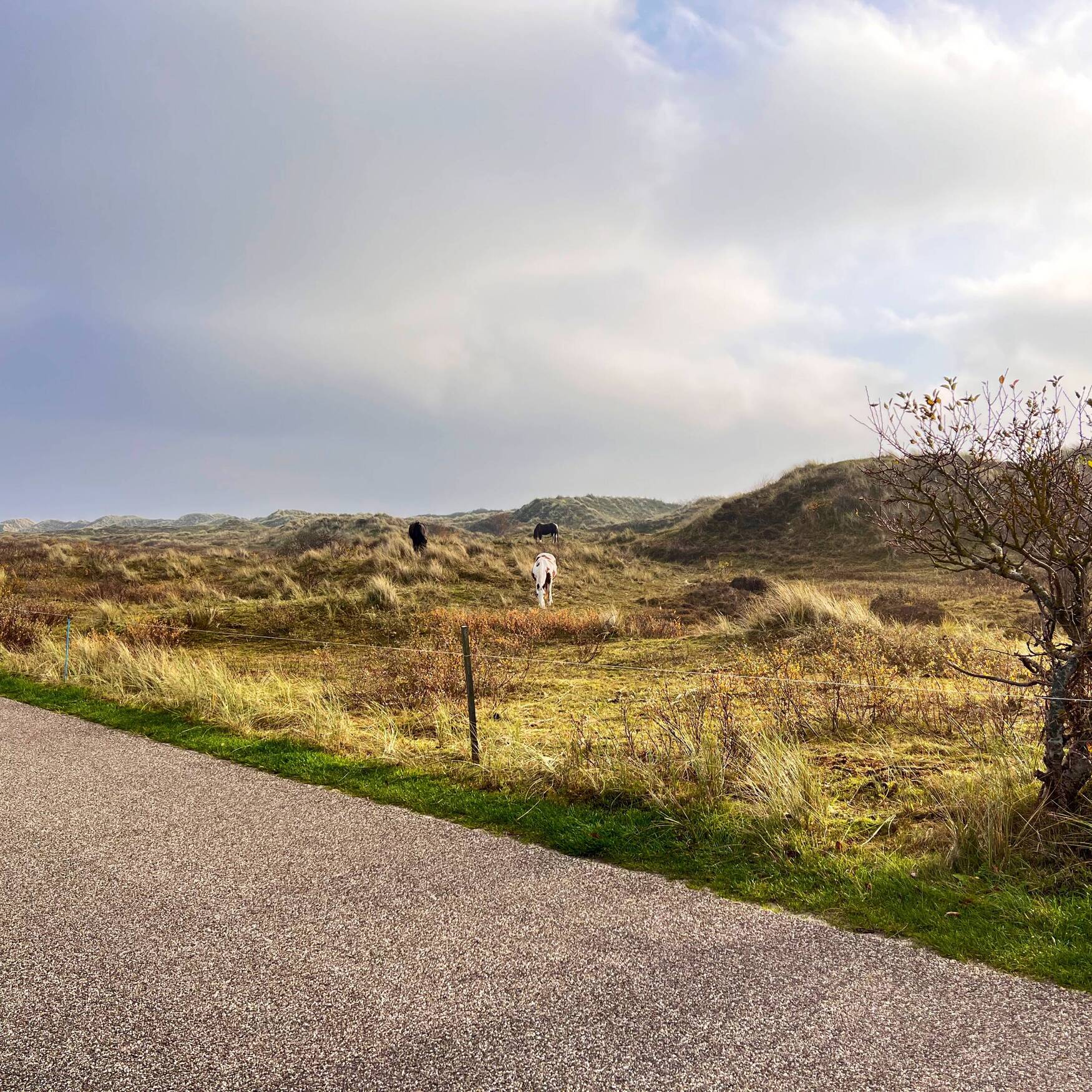 Paar dagen Terschelling