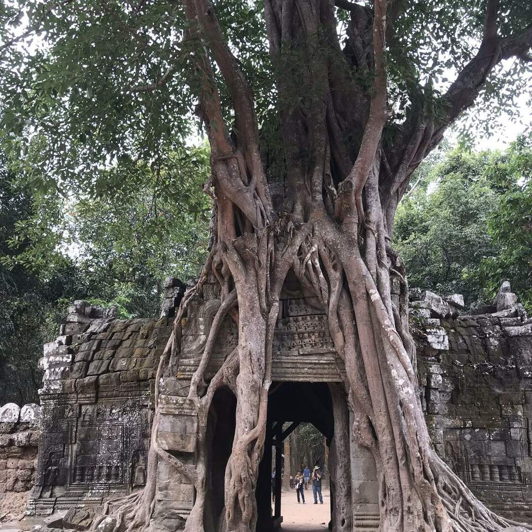 Cambodia & Vietnam