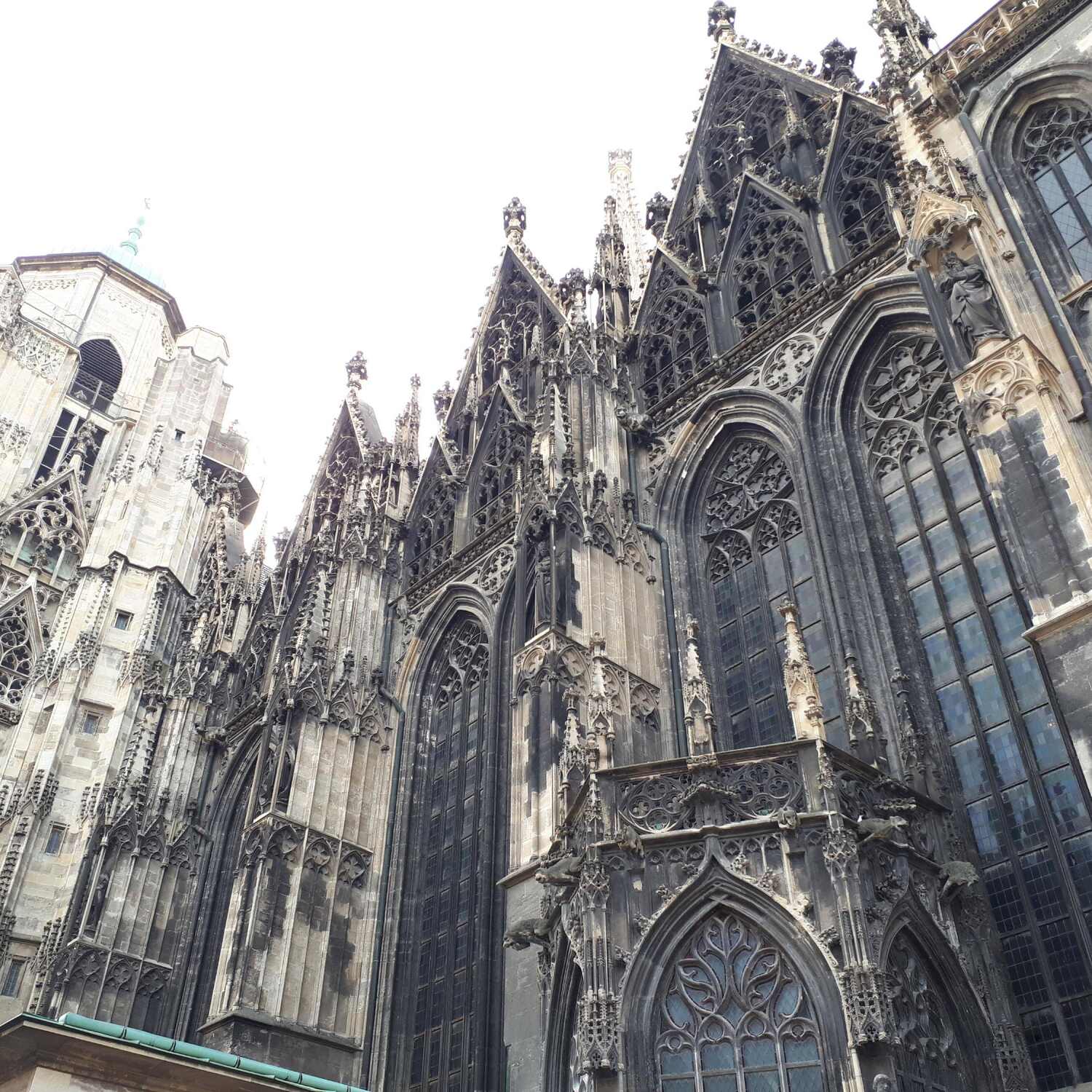 Vienna