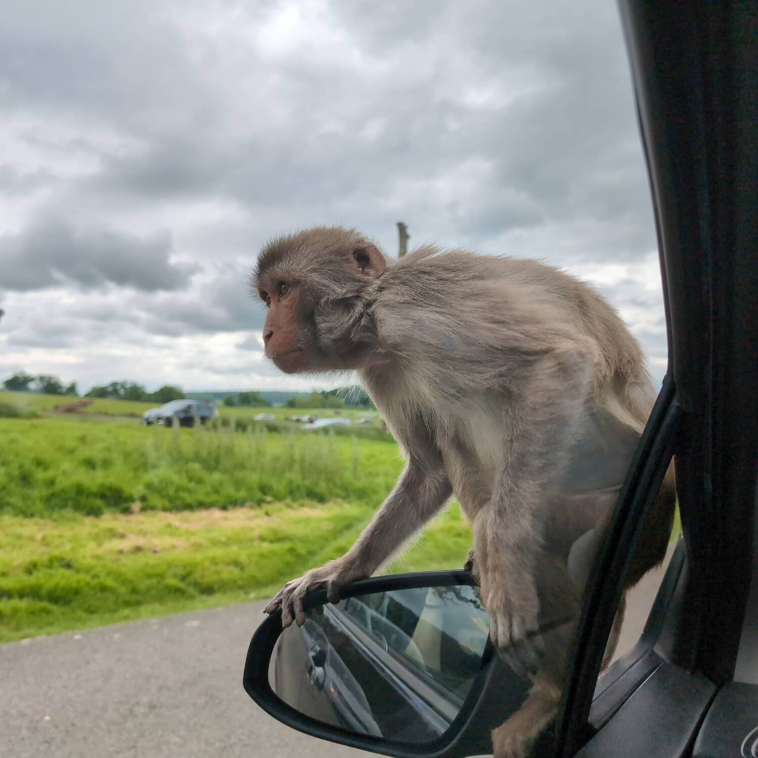 Longleat