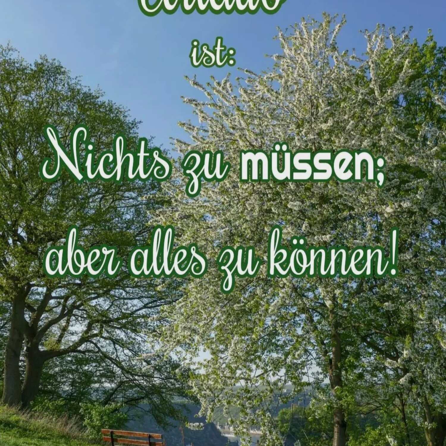 Doch nicht nach Hamburg..