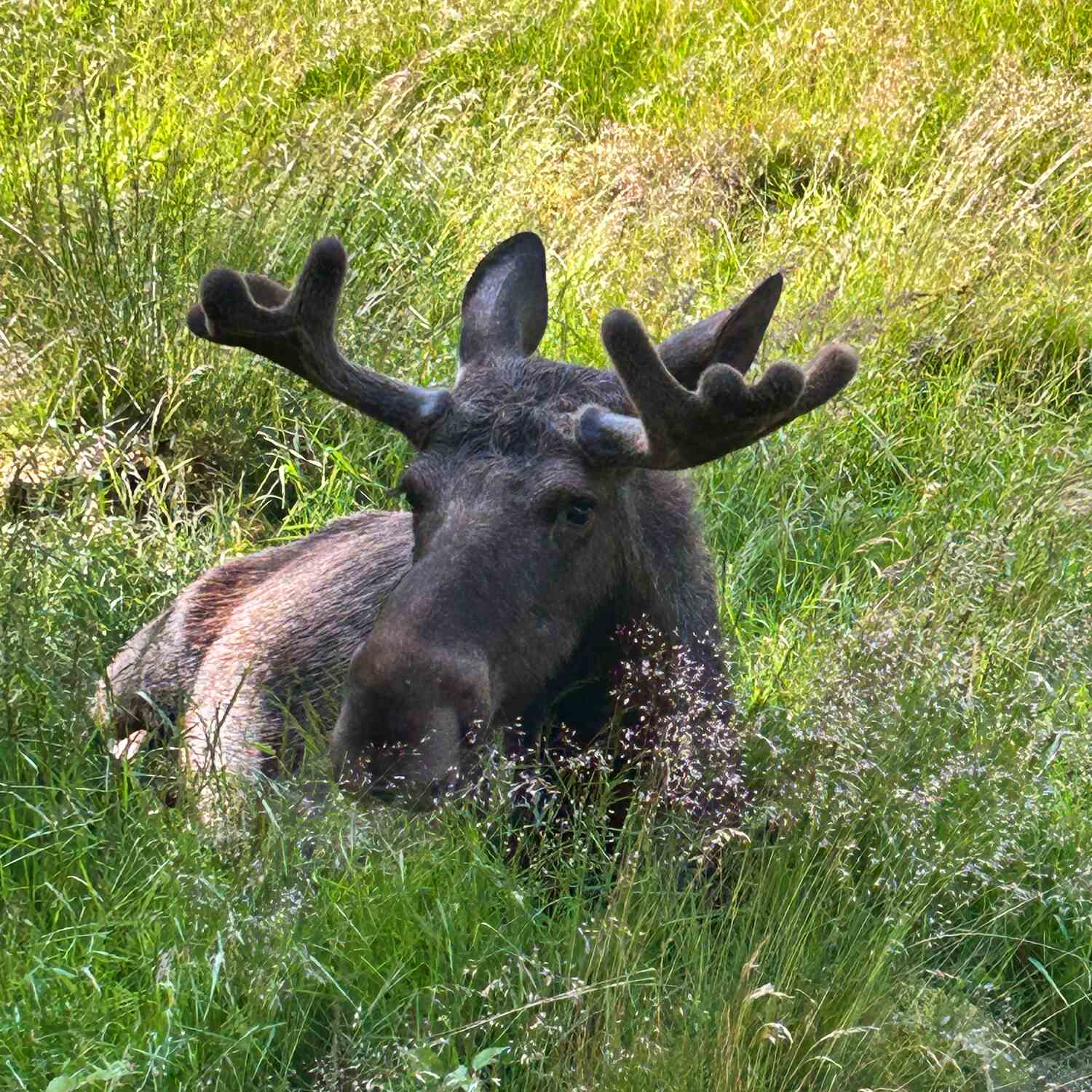 Südschweden