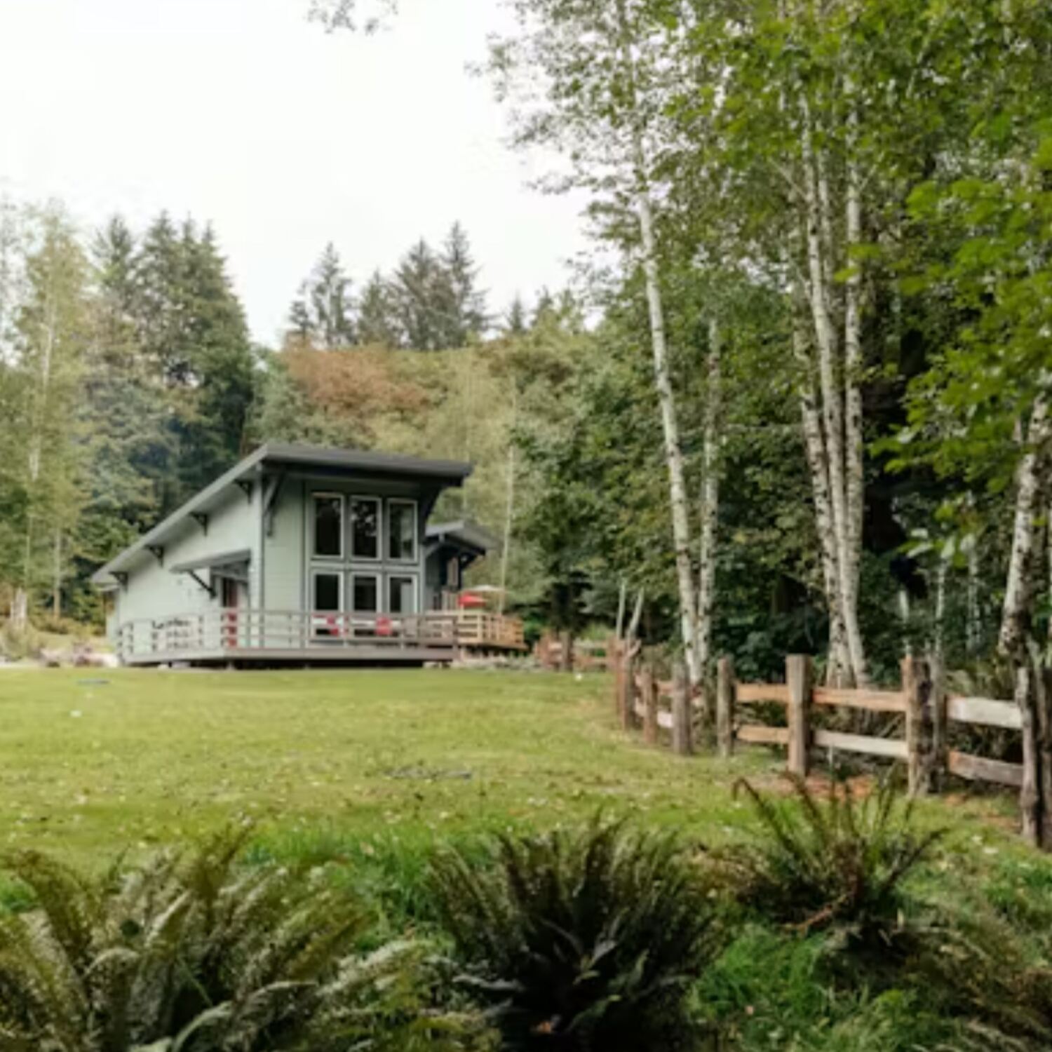 Hoh Valley Adventure