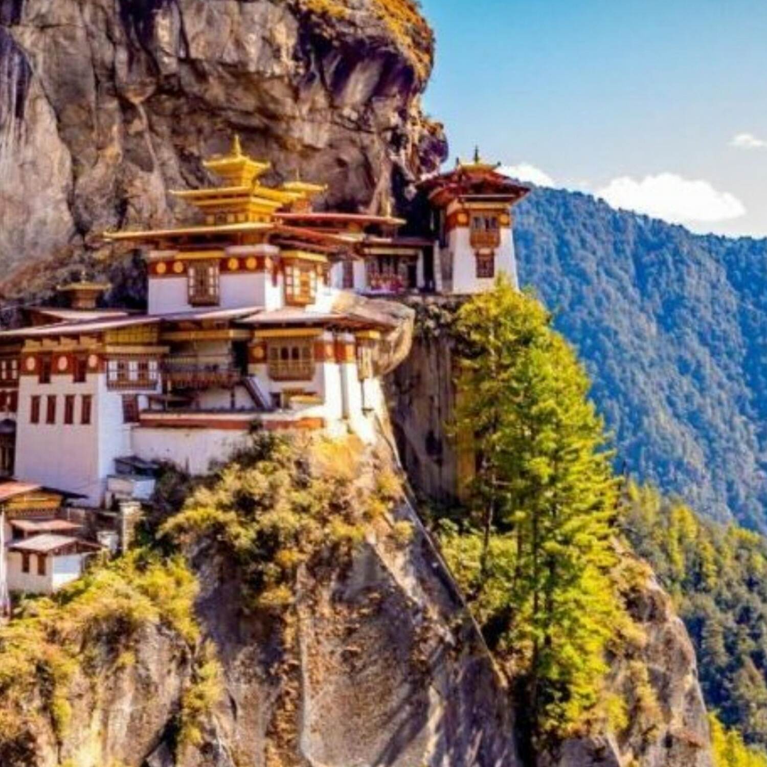 Bhutan 🇧🇹 2024