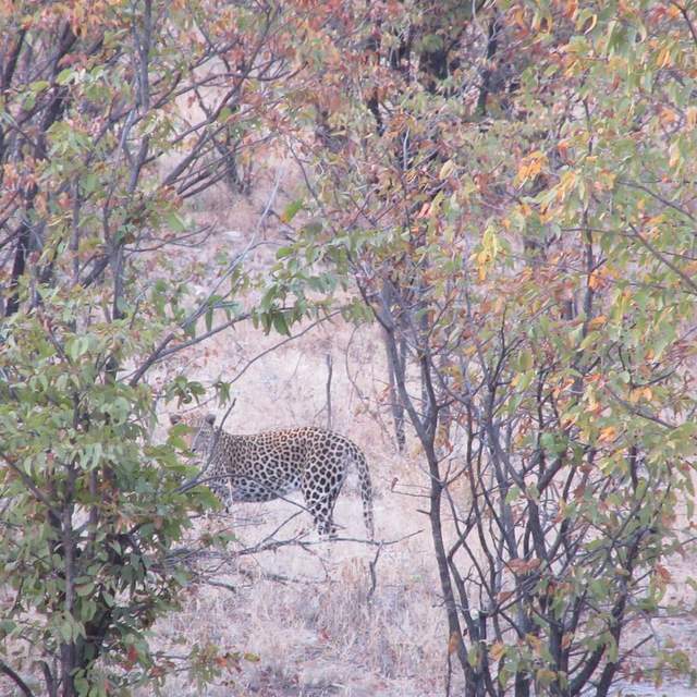 Namibia