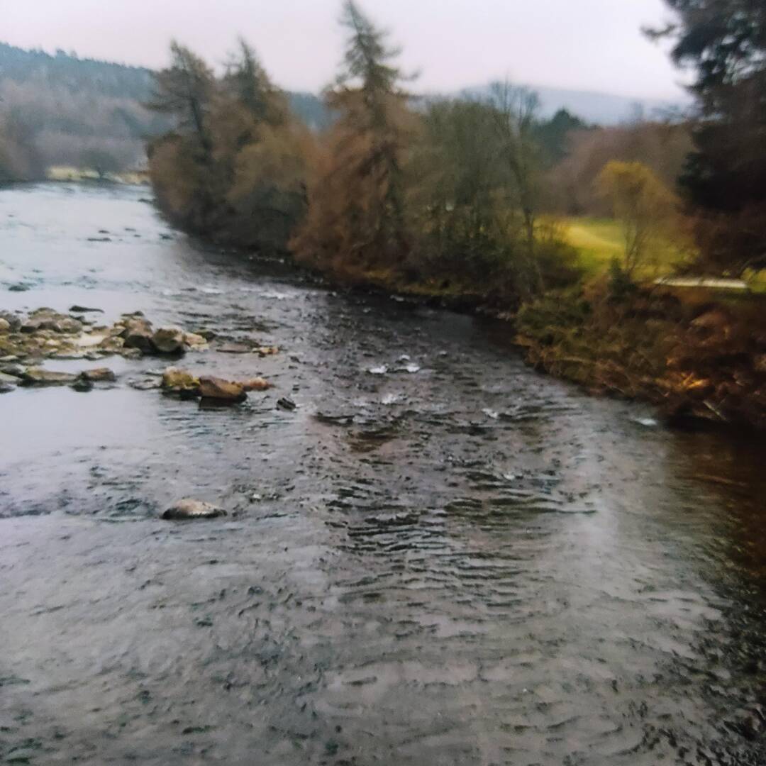 Ecosse