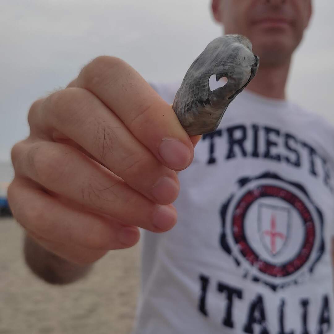 Dai Colli Euganei a Trieste