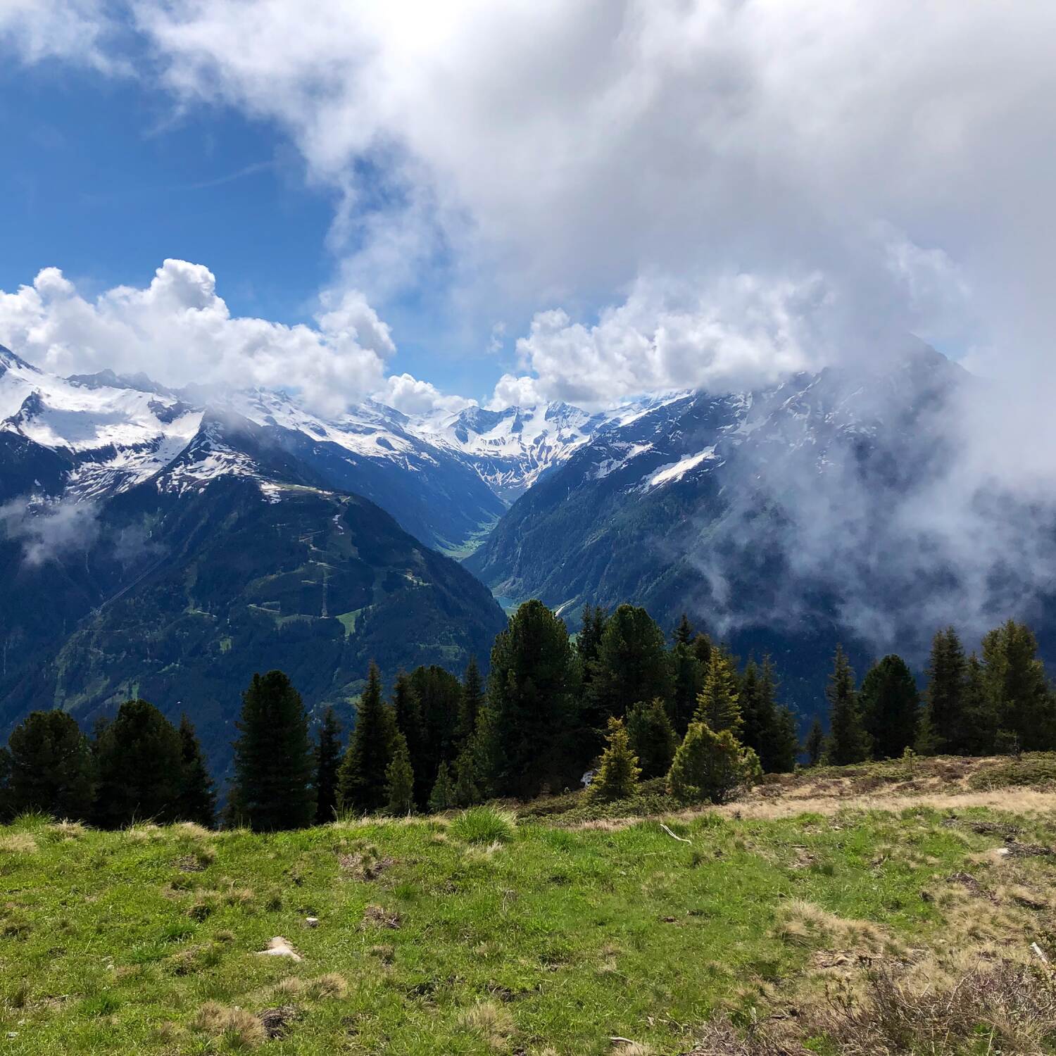 Zillertal-Enzianhof 🧡