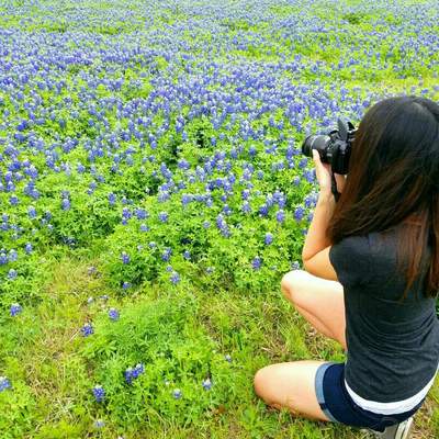 Blue Bonnets, Tx 2017