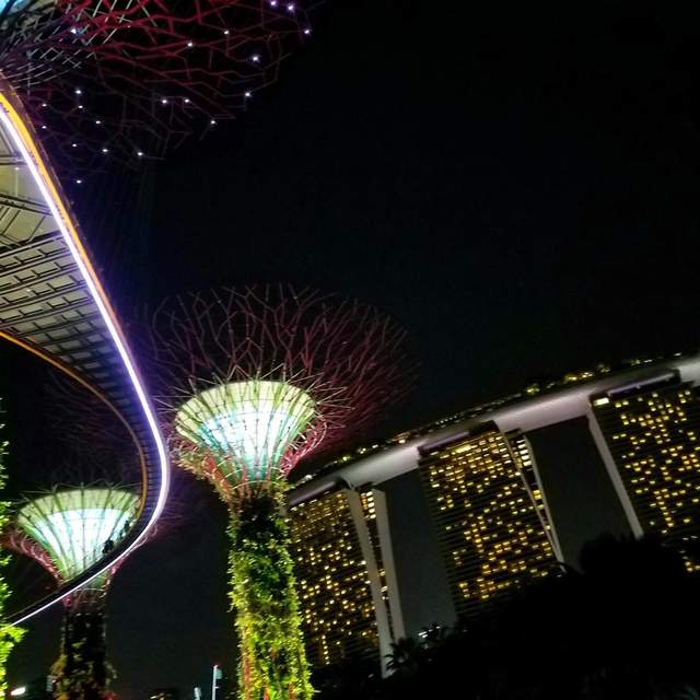 Singapore - Spring 2017
