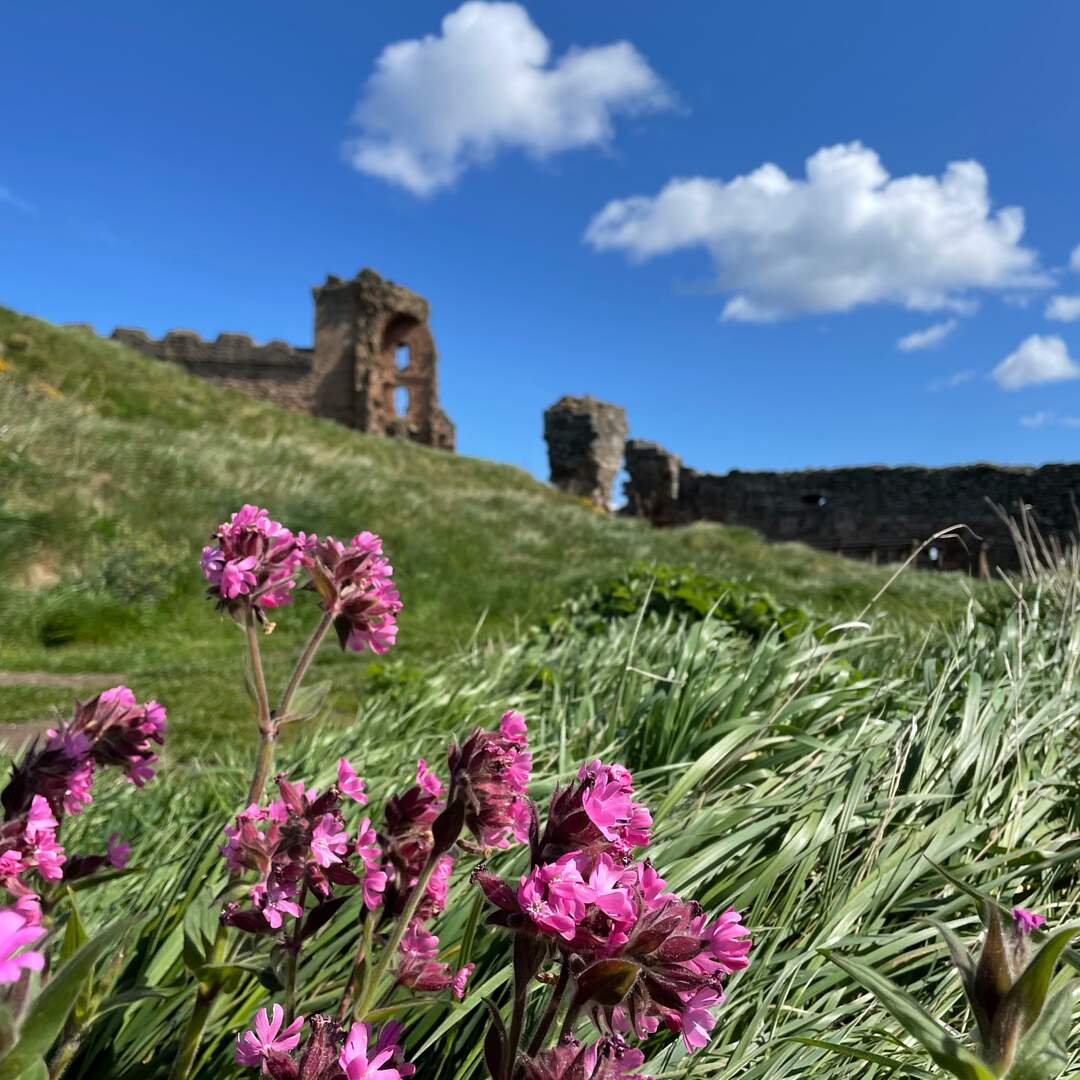 Schottland