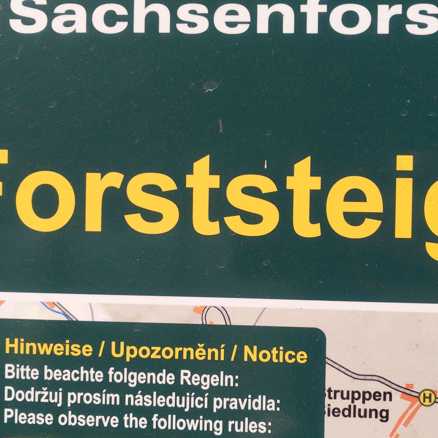 Forststeig 2026